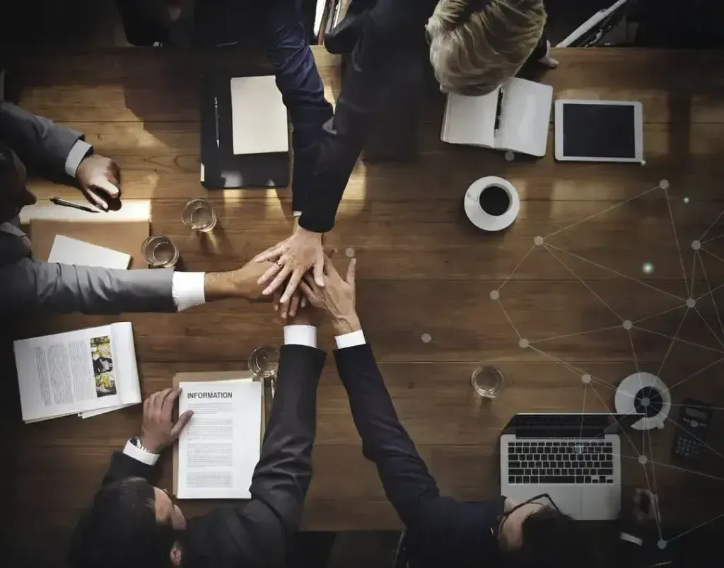 A global software partner for growing companies